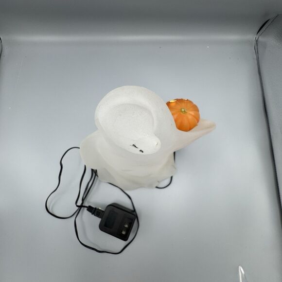 Vtg Ghost Light Up Dept 56 Acrylic Blow Mold Color Changing Halloween Decor 12"T - Picture 16 of 17